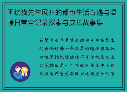 围绕猫先生展开的都市生活奇遇与温暖日常全记录探索与成长故事集