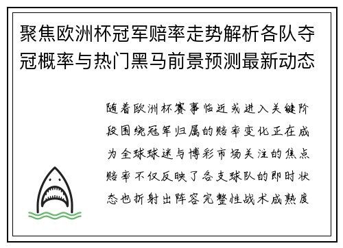 聚焦欧洲杯冠军赔率走势解析各队夺冠概率与热门黑马前景预测最新动态