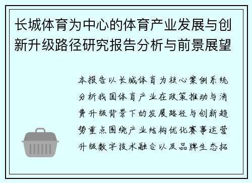 长城体育为中心的体育产业发展与创新升级路径研究报告分析与前景展望